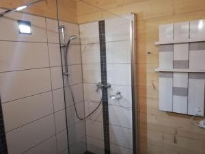 W łazience znajduje się prysznic ze szklanymi drzwiami. w obiekcie Ferienhaus-Eisenerz w mieście Eisenerz +14 zdjęć