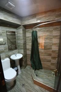 a bathroom with a toilet a sink and a shower at Hotel Traveler in Kutaisi