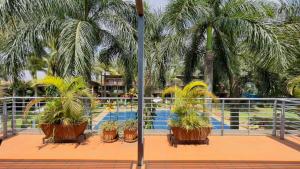 a group of palm trees and a swimming pool at Kabira Country Club in Kampala