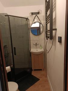 a bathroom with a shower and a sink and a mirror at Bory Tucholskie Domek Starzyska in Osówek