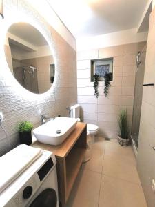 a bathroom with a sink and a mirror and a washing machine at Villa Calendula in Novigrad Dalmatia