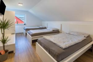 ein Schlafzimmer mit 2 Betten und einer Topfpflanze in der Unterkunft Zeichner in Geisingen