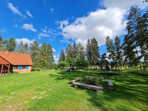 un parque con tres mesas de picnic en el césped en Wyspa Świerków, en Lipusz