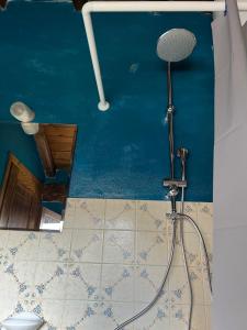 La salle de bains est pourvue d'une douche et d'un mur bleu. dans l'établissement Baita Agostina, à Gravedona 16 autres photos