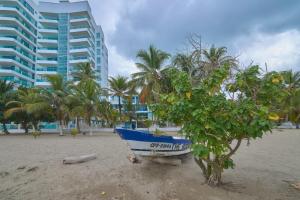 a blue boat sitting on the beach next to a tree at Hermoso Apartamento Frente al Mar 2 Habitaciones C13B in Coveñitas