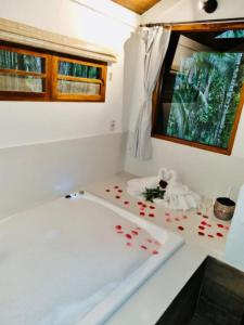 Fotografie z fotogalerie ubytování Pousada Bromélias v destinaci Paraty