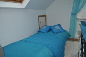 een slaapkamer met een blauw bed met blauwe kussens bij Meadow Oak Accommodation in Bodmin