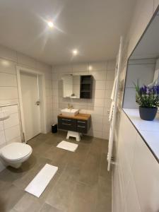 a bathroom with a toilet and a sink at Ferienwohnung „Maya“ in Langelsheim