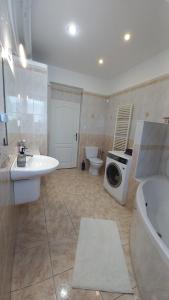 Villa Haškova with 3 bedrooms的一间浴室
