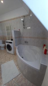 Villa Haškova with 3 bedrooms的一间浴室