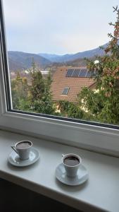 山景或在度假屋看到的山景