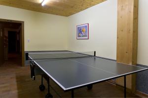 Stolný tenis v ubytovaní Ostbacher Stern alebo v jeho okolí