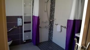 a bathroom with a shower with purple shower curtain at Contact Hôtel du Cerf in Château-Gontier