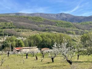 un campo con árboles y un edificio a lo lejos en CASA BRIGIDA en Jerte