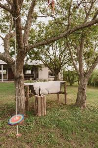 un banco sentado bajo un árbol junto a un frisbee en El Rincón. Farm and Lodge, en Carmelo