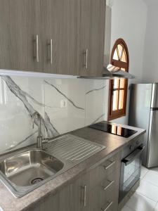 eine Küche mit einer Spüle und einem Kühlschrank aus Edelstahl in der Unterkunft Flampoura Apartments in Preveza