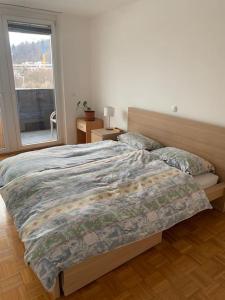 Postel nebo postele na pokoji v ubytování Spacious apartment Ljubljana city center