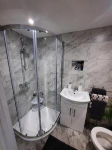 a bathroom with a shower and a sink and a toilet at Forest View Impeccable two bedroom house in Rostrevor