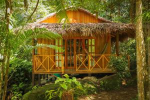 POUSADA BAWARY في سائو غابريل دا كاشويرا: منزل شجرة في وسط غابة