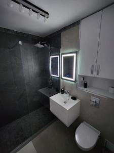 La salle de bains est pourvue d'un lavabo, de toilettes et d'une douche. dans l'établissement Apartament The Cozy Nest Turda, à Bucarest