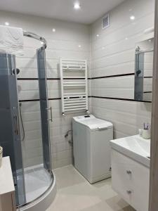 Ένα μπάνιο στο Apartament BEKA z miejscem postojowym