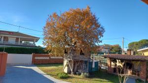 The building in which the holiday home is located