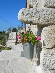 Zahrada ubytování Agriturismo Borgo San Martino