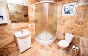 a bathroom with a shower and a toilet and a sink at CZARDASZ in Krasnobród +25 photos