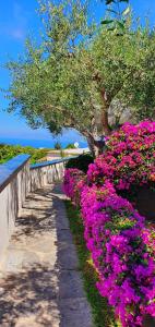 a row of pink flowers in a garden at Appartamenti Luongo in Ischia