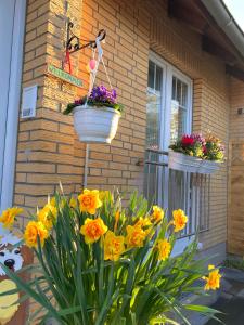 Zahrada ubytování Casa Hasselholt