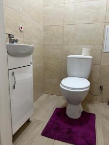 La salle de bains est pourvue de toilettes, d'un lavabo et d'un tapis violet. dans l'établissement New Apartment, à Ivano-Frankivsk