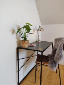 una mesa con una planta y una lámpara en ella en Dronninglund Appartements en Dronninglund