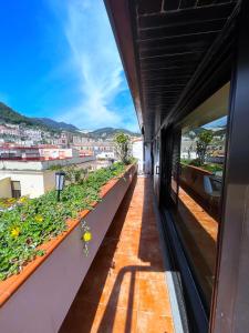 - une vue depuis le balcon d'un bâtiment orné de plantes dans l'établissement Suite Prestige Salerno, à Salerne