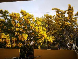 Fotografia z galérie ubytovania Appartement proche mer avec terrasse et jardin privatif v destinácii Hyères