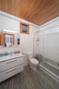 Un baño con inodoro, lavabo y ducha. en BrisaMarTelde, en Telde