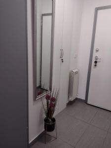 a hallway with a mirror and a vase with flowers at Room Armani in Rovinj