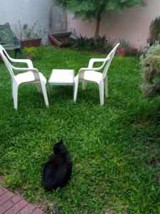un chat noir assis dans l'herbe à côté de deux chaises dans l'établissement Habitación con baño privado Regis Haus, à Villa Adelina