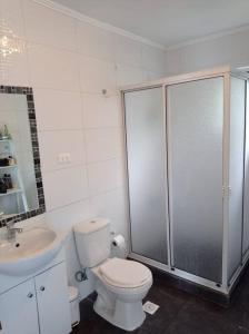 a bathroom with a shower and a toilet and a sink at Casa Lago Rupanco in Puerto Rico