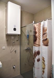 een douche met een glazen deur in de badkamer bij Apartment Banja Luka, Park in Banja Luka