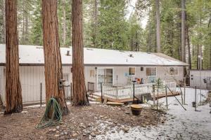 una casa blanca en el bosque con árboles en Renovated Pioneer Home in Serene Wooded Setting!, en Pioneer