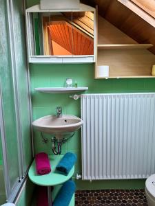 a bathroom with a sink and a toilet at Fewo Klingelhöfer in Willingen