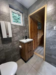 een badkamer met een toilet en een wastafel bij Bacówka na Leśnej in Po”łwieś