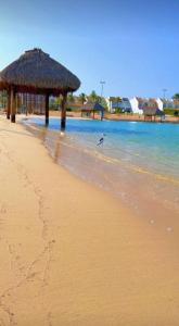 a bird standing on a beach with a straw umbrella at دره العروس فيلا الاحلام للعائلات in Durat  Alarous