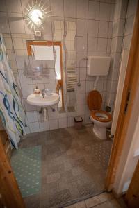 a bathroom with a toilet and a sink at Apartmani Lazić in Ribarska Banja