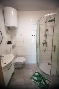 y baño con ducha, aseo y lavamanos. en Czocha Studio Apartment en Leśna