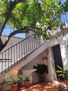 uma escada que leva a uma casa com vasos de plantas em CASA RURAL FERRETE em Cañete la Real
