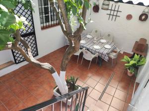 a table and chairs and a tree on a patio at CASA RURAL FERRETE in Cañete la Real