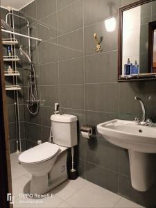 a bathroom with a toilet and a sink at Plaza de petra in Wadi Musa