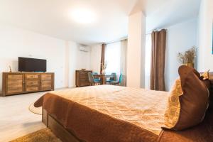1 dormitorio con 1 cama grande y TV en EVRA APARTMENTS, en Recaş