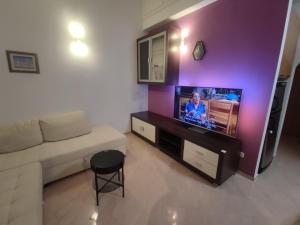 A television and/or entertainment centre at Apartman Sael, Medulin